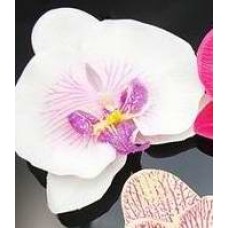 Orchidėjos-segtukai į plaukus (įvairių spalvų)