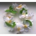 Havajietiški  gėlių vainikėliai (pasirenkamos spalvos)